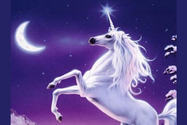 Have You What It Takes To Be A Unicorn