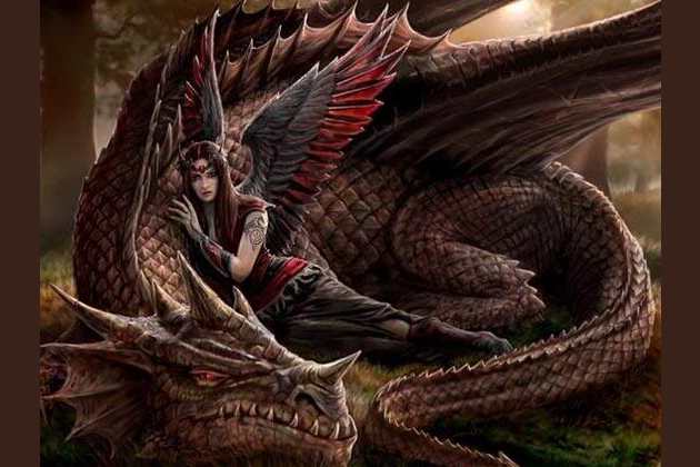what-type-of-dragon-follows-you