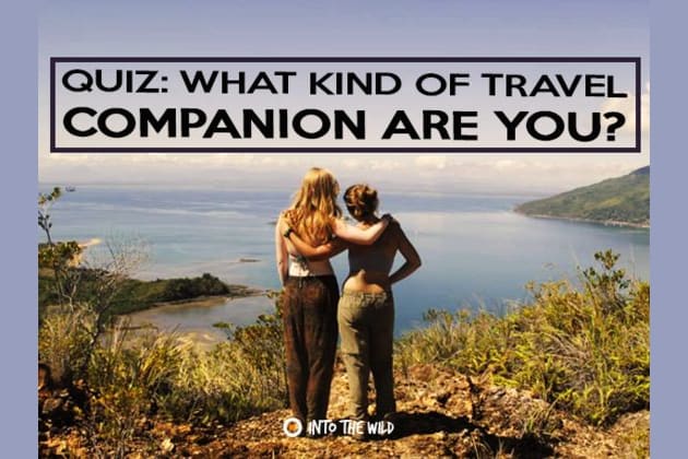 travel companion other words