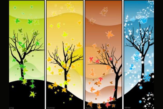 What Season Are You?