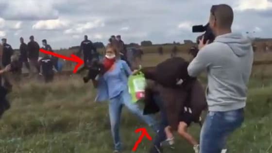A video of a Hungarian camerawoman tripping a migrant who was fleeing police in Roske, southern Hungary has gone viral. Reports say that she has been fired from her job. 