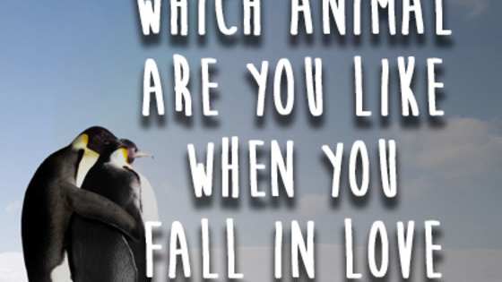 Are you more like a penguin or an otter when it comes to romance?