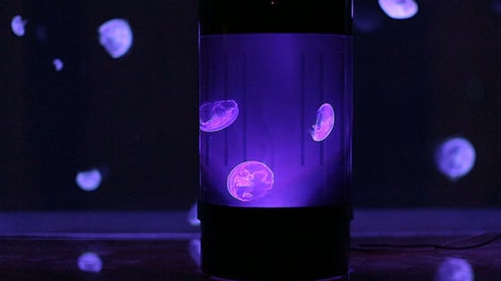 This Kickstarter jellyfish tank will rock your undersea world.