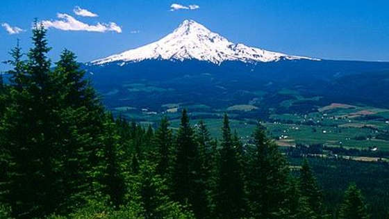 Oregon is a beautiful place!
