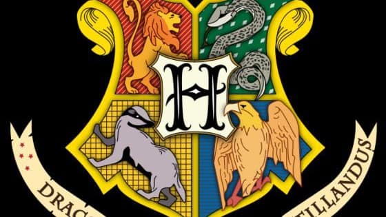 Can we guess what Harry Potter Hogwarts house you would be in?