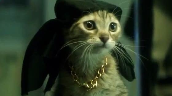 The time is Meow to find out about the new movie from Key & Peele!
