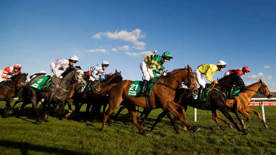 Get ready for Cheltenham Festival 2018 with this quiz!