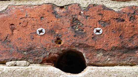 According to researchers only extremely neurotic people see faces in almost all everyday objects. Are you one of them? 