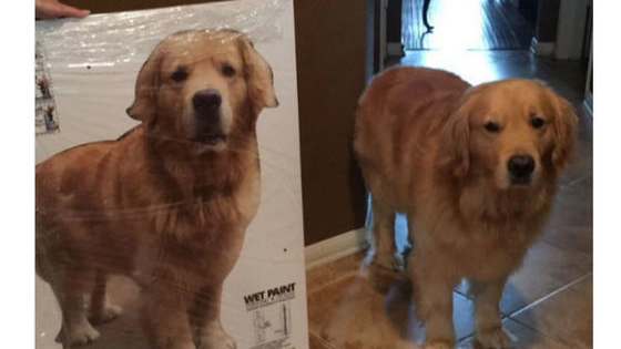 Jake was going to miss his best friend so much! Parenting; this Mom is killing it!