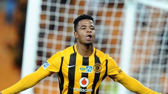 From rugby and cricket to football action, my sporting calendar is full this week.