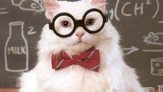 Show how well you did in your high school chemistry class!