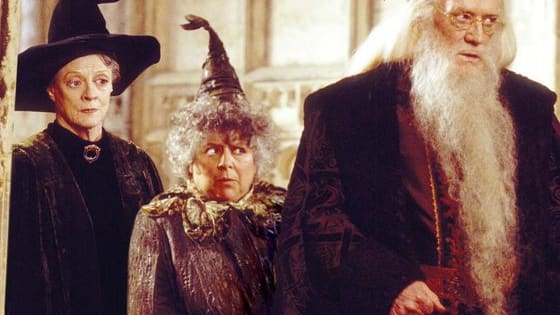 We can only hope to be as put together as Professor McGonagall or as delightfully whimsical as Professor Dumbledore in old age. Who will you age into? Find out here!