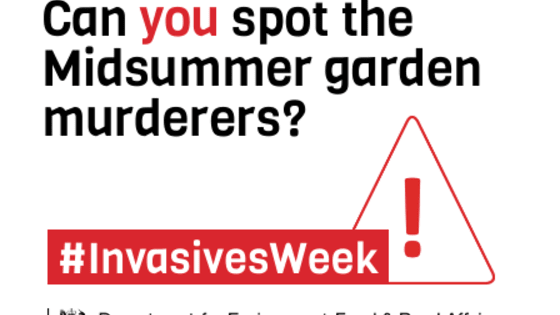 Our green and pleasant lands are under threat from non-native invasive species. They harm our environment and wildlife, costing the British economy over £1.7 billion a year, and even pose a risk to our health and the way we live. 

But it's time to fight back! Polish your magnifying glass and see if YOU can spot the prime invasive species suspects from their modus operandi that causes so much damage to our environment?
