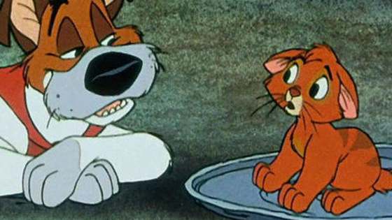 Keep choosing between kittens, and we'll try to figure out who your Disney dream dog is! See if we can guess yours here!