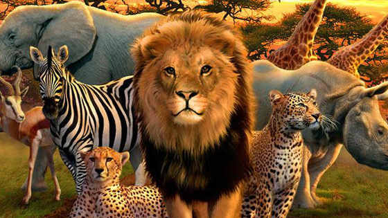 Have you ever looked at the beautiful animals of Africa in awe? Haven't you ever wished to be one of those animals of such beauty and grace? Well now you can with a little imagination and taking this quiz to find out what African Animal you truly are inside! Come with me on a magical tour around Africa (With a lots of role-play and fun interactive choices,) to uncover your true self!