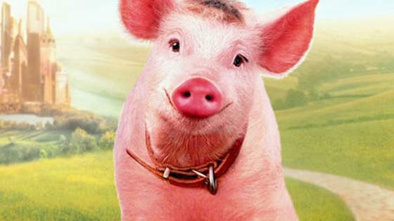 These iconic furry friends have surely made you smile, cry, or laugh (or all 3 simultaneously), but do you remember what movie they starred in?