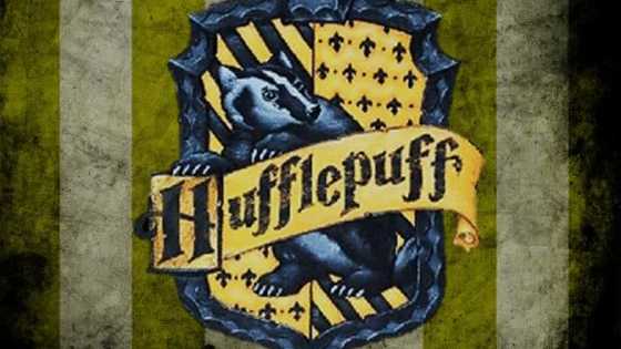 Hufflepuff gets a raw deal as being the butt of almost every joke, but here's a list that proves Hufflepuffs know how to bring it.