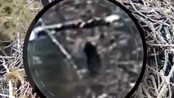 Footage from a Michigan webcam watching over an eagle’s nest has caused an online frenzy with some claiming it is proof the mythical Bigfoot monster exists. 