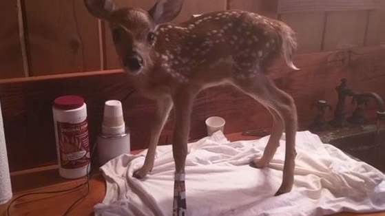 This story will make you feel all the feels!