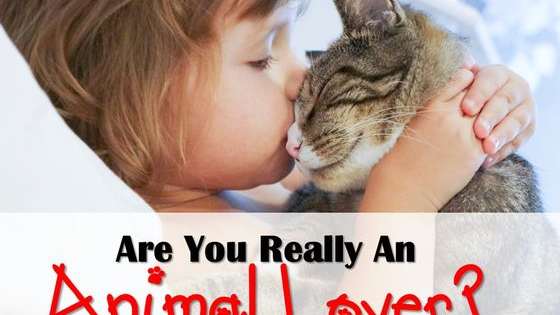 Do animals just make your heart swell, or maybe not so much?