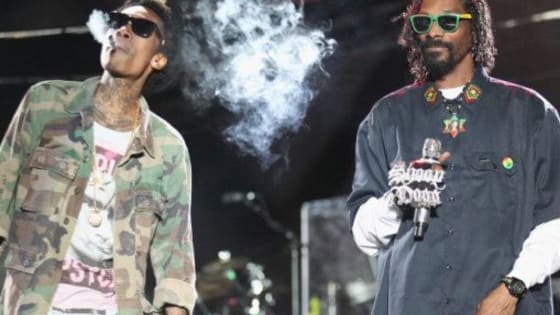 Ever wondered which stoner rapper you are? Take this quiz to find out!