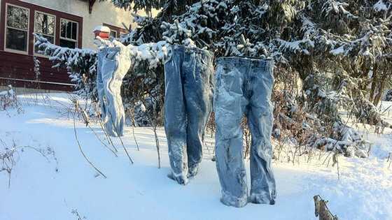 No word on how Frosty the Snowman is dealing with the weather, but then he has a scarf and hat