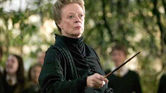 Professor McGonagall expects nothing short of excellence!