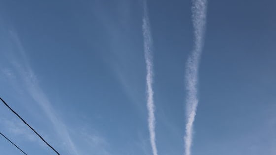 Having a slow start to your week? Here are a few quotes to help brighten your day, complete with photos of nature, because why not?