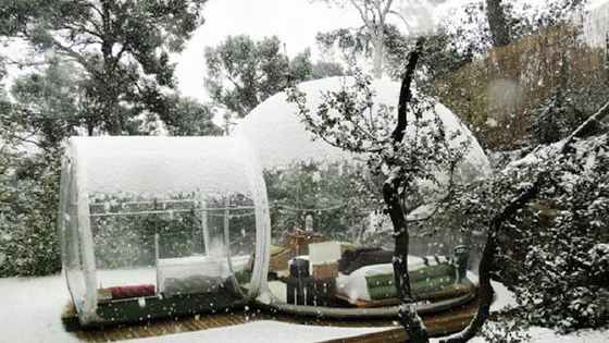 Meet the bubble tent! 
