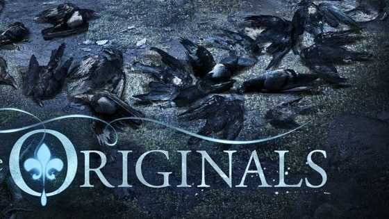 Who is your favorit member of the feared Mikaelson family?
Enjoy!