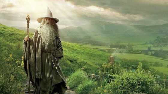 In an interview Peter Jackson says that he might consider making more Middle-Earth themed films. Some people think this is stupid and PJ is using to much CGI in his films now. Others say that they would love to revisit Middle-Earth.