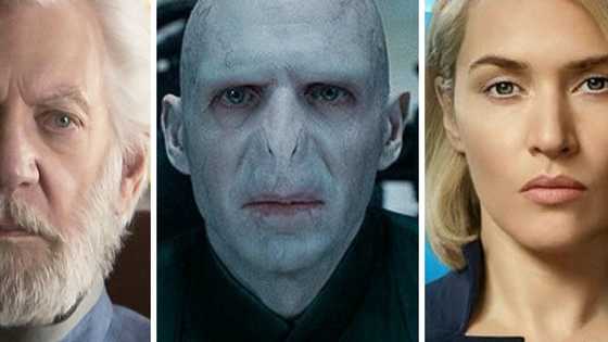 Are you the manipulative President of Panem, the blood-thirsty Dark Lord or the cunning Erudite leader.