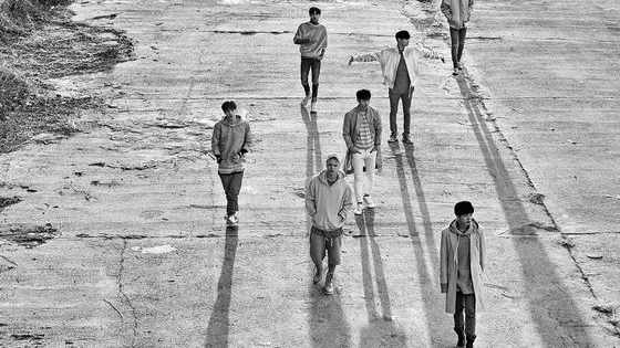 Out of all 7 of them, one has to be your bias. 
