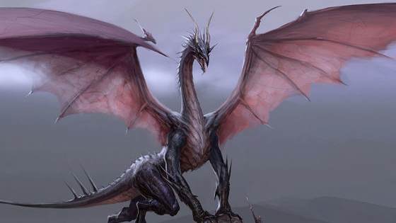 Which type of dragon are you? Are you the galactic dragon? The nature dragon? The rare midnight eclipse possibly? What dragon is hiding in your heart?