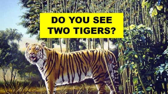 Only 1% of people who see this image can find the hidden tiger.  Can you? 