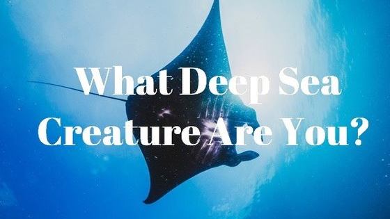 Do you ever feel like you are a creature of the dark and the deep? What might you be hiding in the shadows? Let's fish it out and see! 