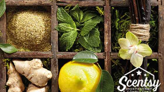 How well do you know Scentsy?