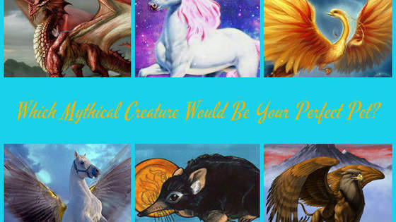 Are you a Unicorn person or would you prefer a more practical Pegasus?
