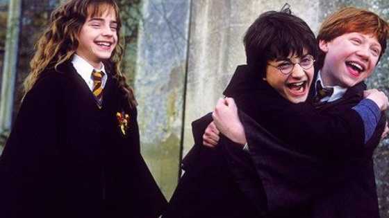 Are you Harry Potter himself, his friend Ron Weasley or Hermione Granger? Tell the truth!