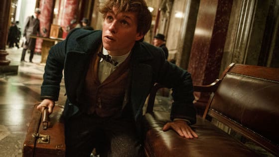 A brand new featurette for Fantastic Beasts and Where to Find them has just been released on Pottermore, and we are SCREAMING. 
