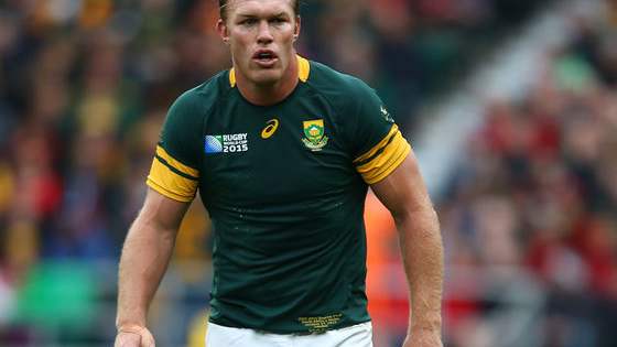 What to stream on DStv Now.