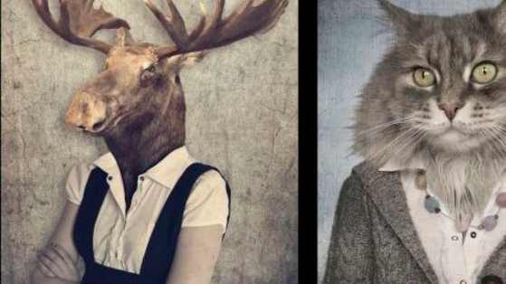 Find out which animal has the same personality as you.