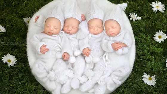 The odds of having identical quadruplets are only one in 15 million. So, what were the odds of all four of them sleeping through an entire photoshoot as well?