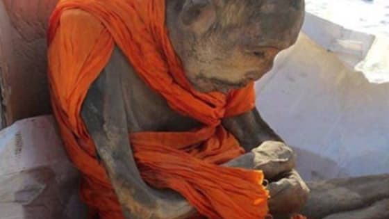 A mummified monk found in lotus position and covered in cattle skin, was claimed “not dead” but in a very deep meditation by a Buddhist academic. The remains, which is believed to be around 200 years old was found on January 27 in the Songinokhairkhan province of Mongolia.  http://www.dailyviralpost.com/