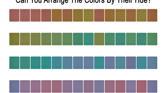 This is based on the Farnsworth-Munsell 100 HueColor Vision Test. Good Luck!