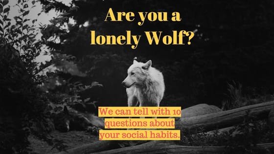 We can tell with 10 questions everything we need to know about your social habits.
