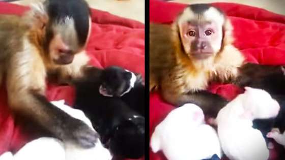 Prepare for cuteness overload! 