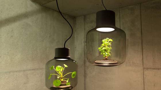 The glass it is made out of actually conducts electricity. 
