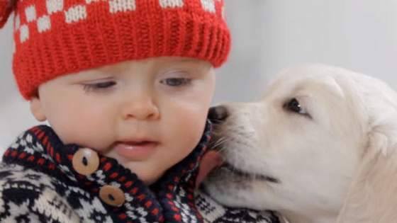 It's as cute as it sounds.