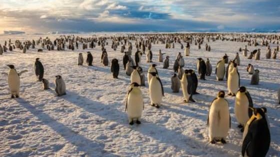 The Ross Sea just became the largest marine reserve in the world, measuring twice the size of Texas. Do you agree with this decision?